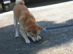 IMG_4597.JPG