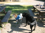 IMG_4785.JPG