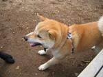 IMG_5229.JPG
