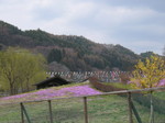 IMG_5231.JPG