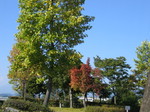 IMG_5533.JPG
