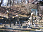 IMG_5691.JPG