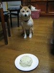 IMG_6291.JPG